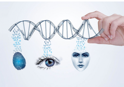 塞伯羅斯智能門禁系統生物識別