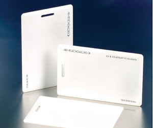 門禁系統中的ID卡-塞伯羅斯